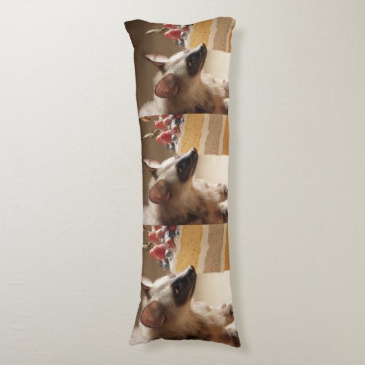 Curious Hyena & Layer Cake Body Pillow Seitenschläferkissen (Vorderseite Vertikal)