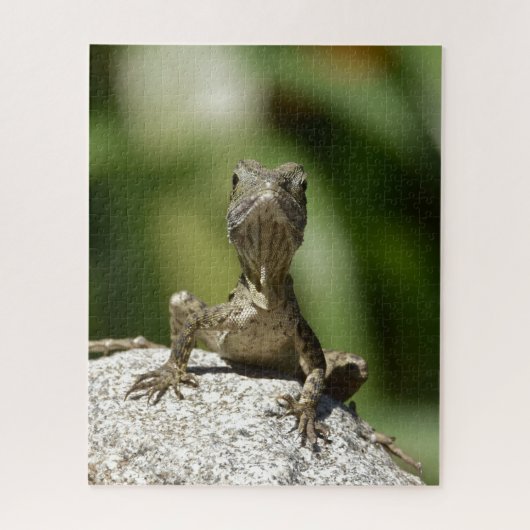 Curious Juvenile Lizard Puzzle (Vertikal)