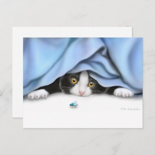 Curious Kitten Postcard Postkarte (Vorne/Hinten)