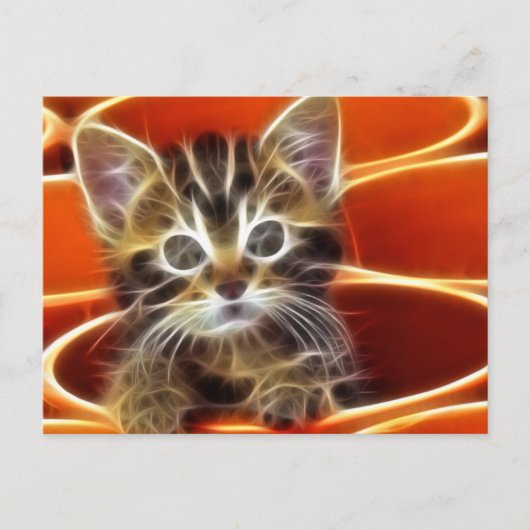 Curious Kitten Postkarte (Vorderseite)