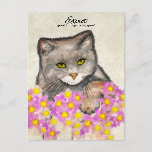 Curious Kitty - "Erwarte, dass gute Dinge passiere Postkarte (Vorderseite)