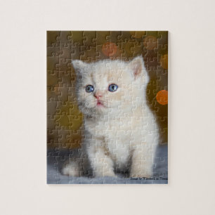 Curious Little Kitty Puzzle