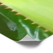 Curious Lizard Poster (Ecke)