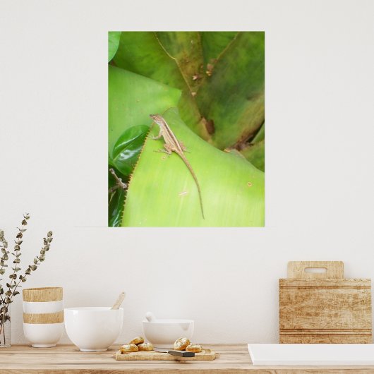 Curious Lizard Poster (Küche)