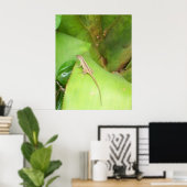 Curious Lizard Poster (Heimbüro)