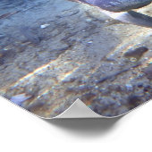 Curious Manatee Poster (Ecke)