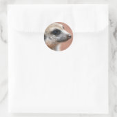Curious Meerkat Sticker (Tasche)