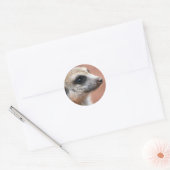 Curious Meerkat Sticker (Umschlag)