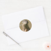 Curious Otter Sticker (Umschlag)