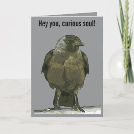 Curious Perch Black Hooded Crow Karte
