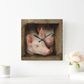 Curious Piglets Quadratische Wanduhr (Zuhause)