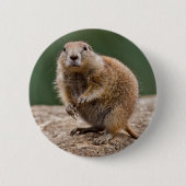 Curious Prairie Dog Abzeichen Button (Vorderseite)