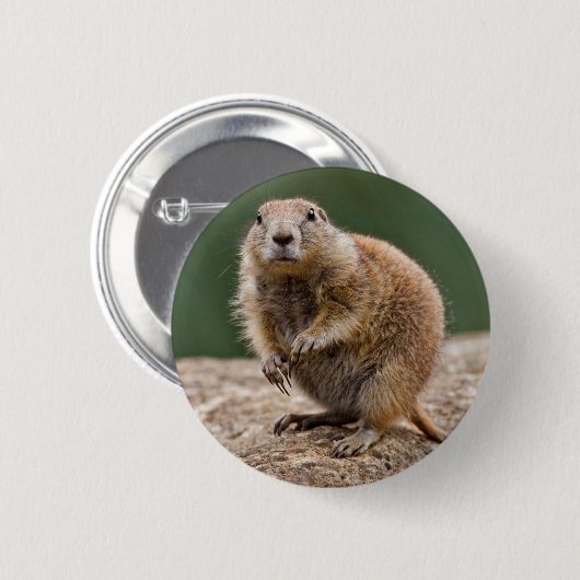 Curious Prairie Dog Abzeichen Button (Vorne & Hinten)