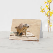 Curious Prairie Dog Karte (Gelbe Blume)