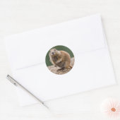 Curious Prairie Dog Sticker (Umschlag)