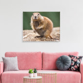 Curious Prairie Dog Wrapped Canvas Print Leinwanddruck (Insitu (Wohnzimmer))