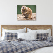 Curious Prairie Dog Wrapped Canvas Print Leinwanddruck (Insitu (Schlafzimmer))
