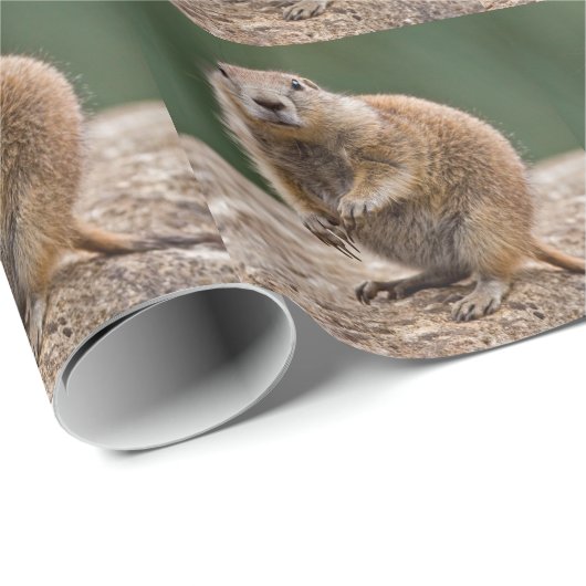 Curious Prairie Dog Wrapping Paper Geschenkpapier (Rolleneckpunkt)