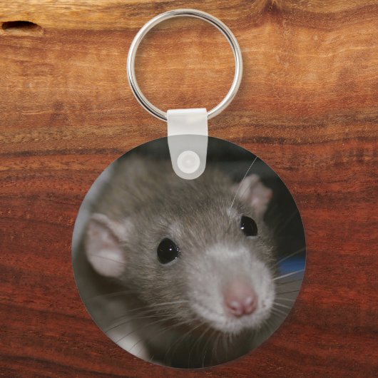 Curious Rat Schlüsselanhänger (Vorderseite)
