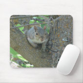 Curious Squirrel in Tree with Your Initials Mousepad (Mit Mouse)