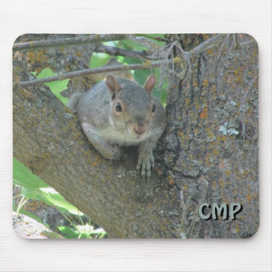 Curious Squirrel in Tree with Your Initials Mousepad (Vorne)