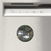 Curious Swans Magnet (In Situ (Geschirrspüler))