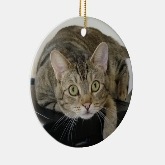 Curious Tabby Cat Ornament (Rechts)