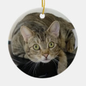 Curious Tabby Cat Ornament (Vorne)