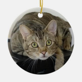 Curious Tabby Cat Ornament