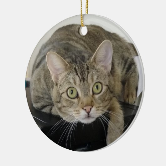 Curious Tabby Cat Ornament (Links)