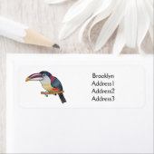 Curl crested aracari bird cartoon illustration (Insitu)