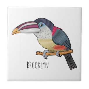 Curl crested aracari bird cartoon illustration  fliese