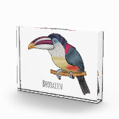 Curl crested aracari bird cartoon illustration fotoblock (Rechts)