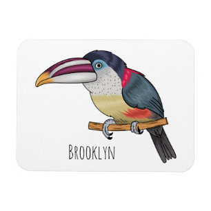 Curl crested aracari bird cartoon illustration magnet