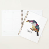 Curl crested aracari bird cartoon illustration planer (Anzeige)