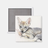 Curled Arabian Wolf Pup 2009 Magnet (Vorderseite/Rückseite)