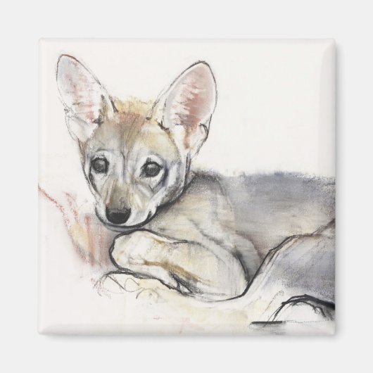 Curled Arabian Wolf Pup 2009 Magnet (Vorne)