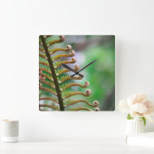 Curled Fern Wall Clock Quadratische Wanduhr (Zuhause)