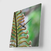 Curled Fern Wall Clock Quadratische Wanduhr (Winkel)