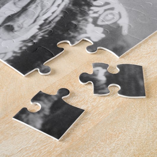 Curley, des Krähenstammes, einer von Custers Puzzle (Seite)