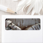 Curly Birch Bark Tree Rustic (Insitu)