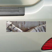 Curly Birch Bark Tree Rustic Autoaufkleber (Auf Auto)