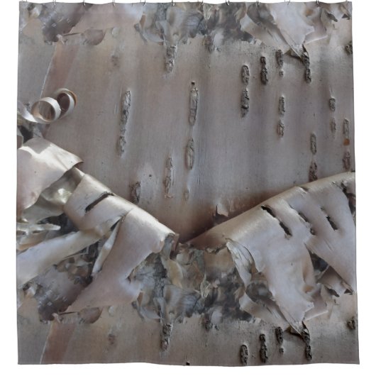 Curly Birch Bark Tree Rustic Duschvorhang (Vorderseite)