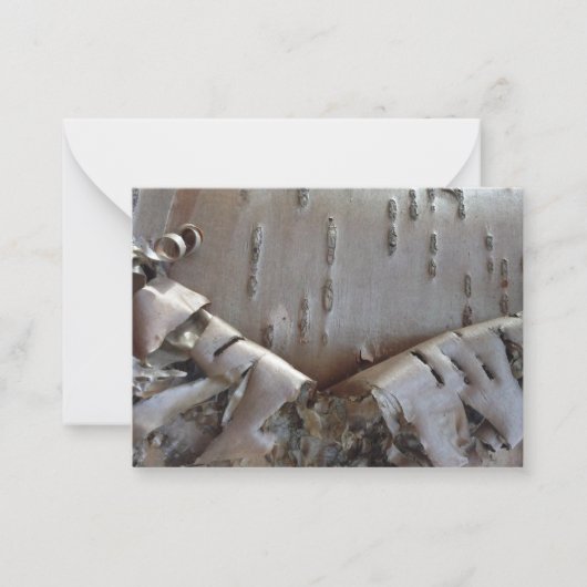 Curly Birch Bark Tree Rustic Flat Note Card Mitteilungskarte (Vorderseite)