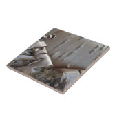Curly Birch Bark Tree Rustic Fliese (Seite)
