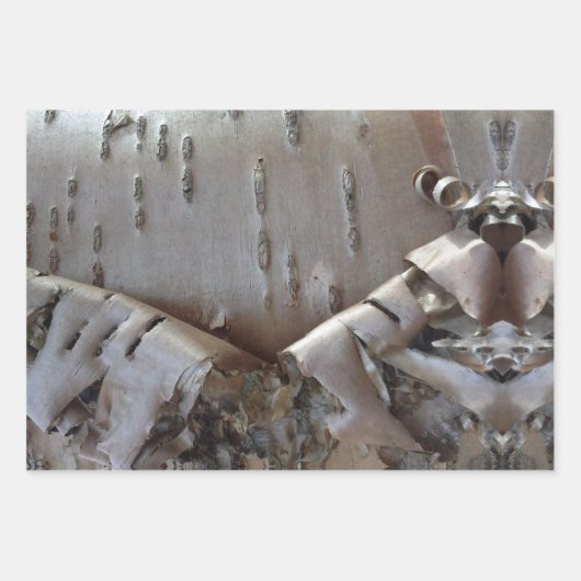 Curly Birch Bark Tree Rustic Geschenkpapier Set (Vorderseite 2)