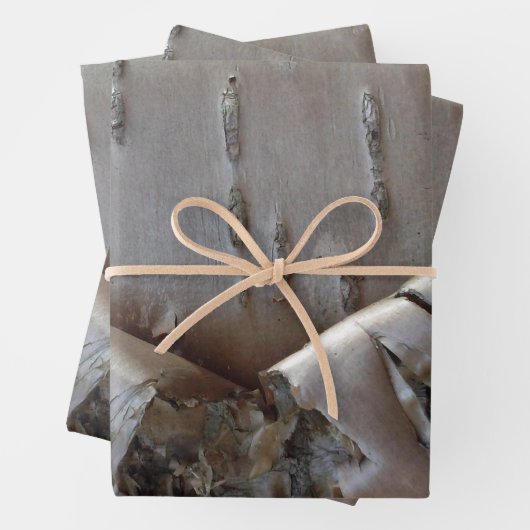 Curly Birch Bark Tree Rustic Geschenkpapier Set (Beispiel)