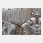 Curly Birch Bark Tree Rustic Geschenkpapier Set (Vorderseite)