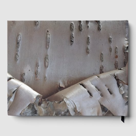 Curly Birch Bark Tree Rustic Guest Book Gästebuch (Rückseite)