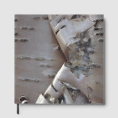 Curly Birch Bark Tree Rustic Guest Book Gästebuch (Vorderseite)